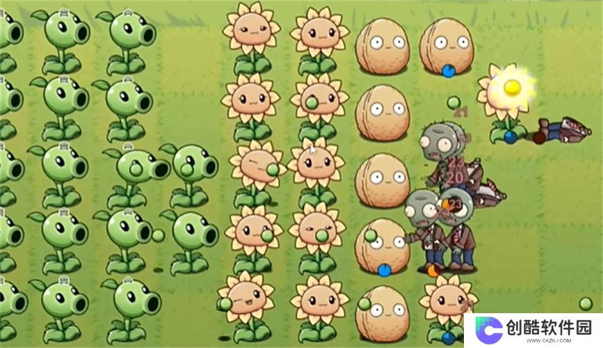 PVZLG