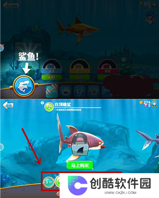 饥饿鲨：世界国际服