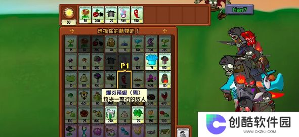 植物大战僵尸时空战争