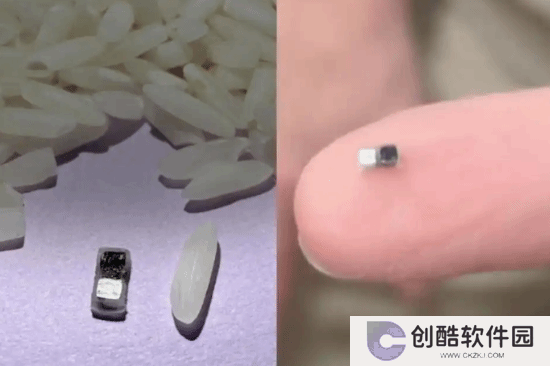 本站